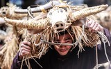 [ẢNH] Đầu xuân xem người đội trâu rơm đi cày, trai giả gái tung trấu gieo mạ...